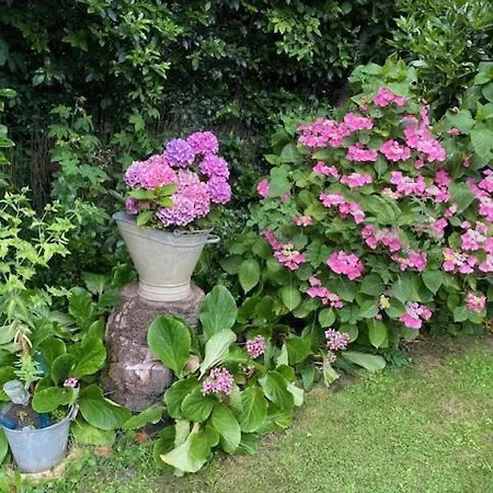 Holiday home Les Merlettes Abbecourt (Oise)