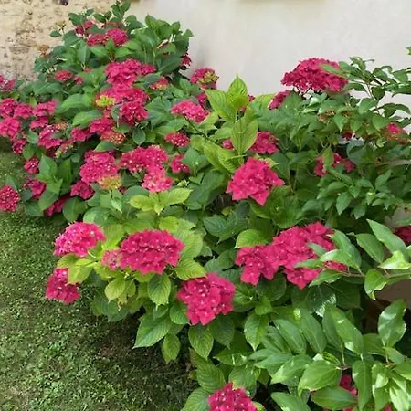 Les Merlettes Abbecourt (Oise)