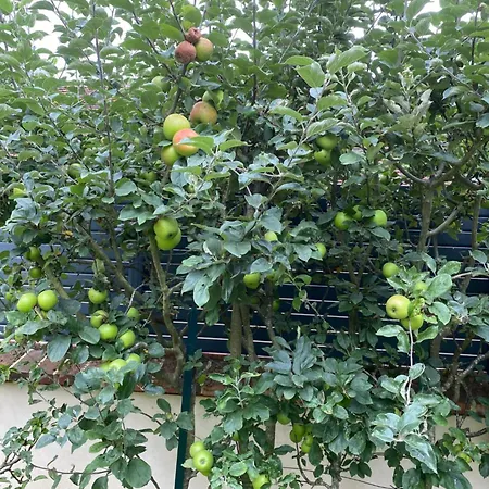 Feriehus Les Merlettes Abbecourt (Oise)